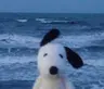 Profile picture of Iggymaki